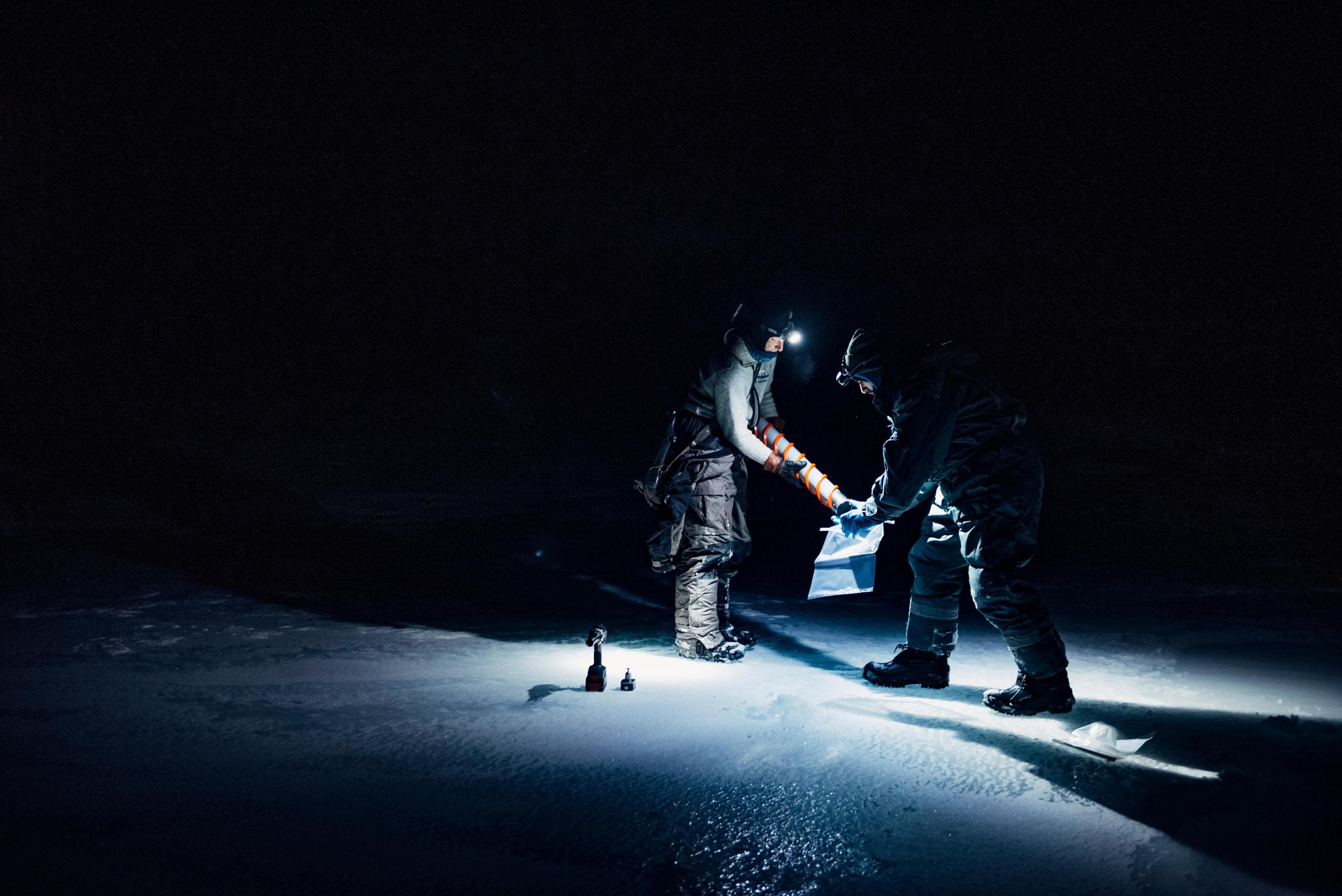 Testigos en Svalvard