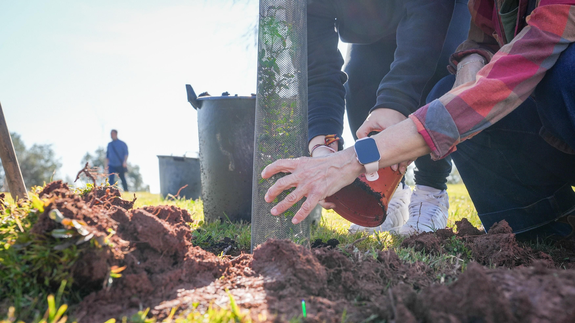 Primera plantación de EnArbolando Córdoba en La Asomadilla