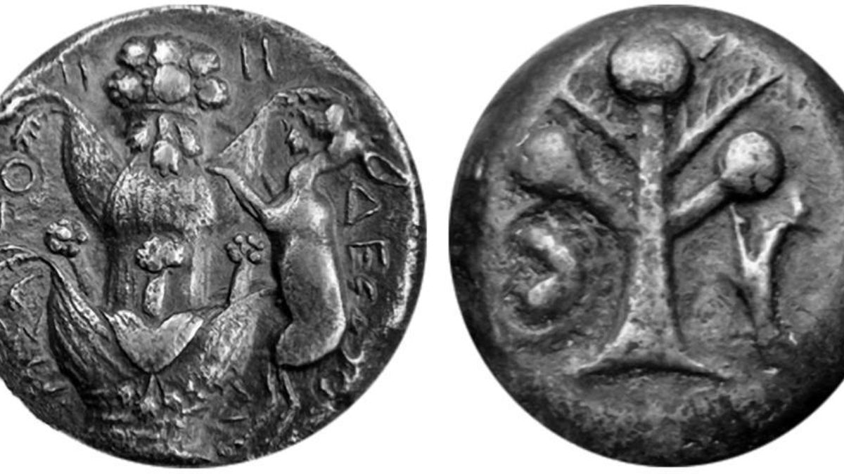 Monedas con la forma del silfio acuñadas en Cirene, una colonia griega en Libia.
