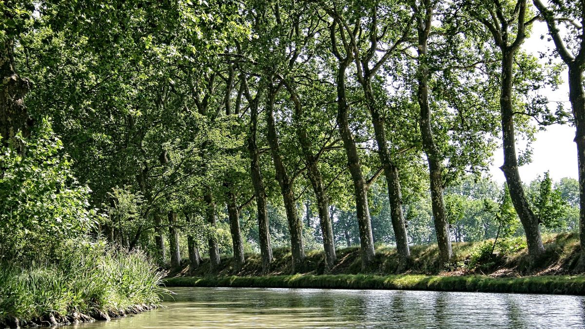 Tramo del Canal du Midi en Toulouse.