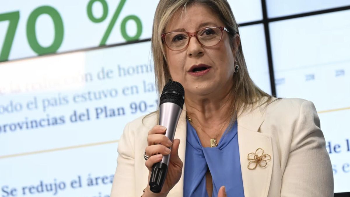 La ministra de Seguridad, Alejandra Monteoliva.