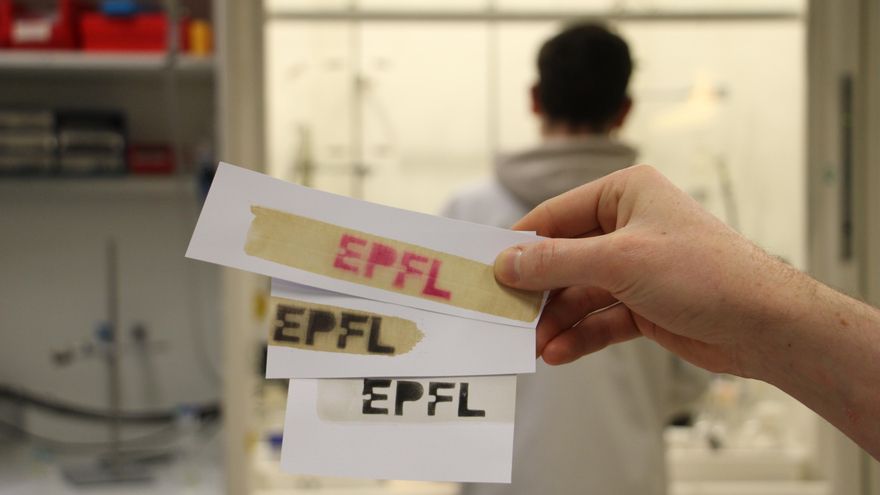 Formulan un papel térmico para imprimir tiques a partir de la madera