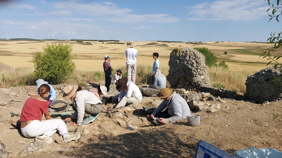 Trabajos de excavación en el yacimiento del Cerro de la Muela