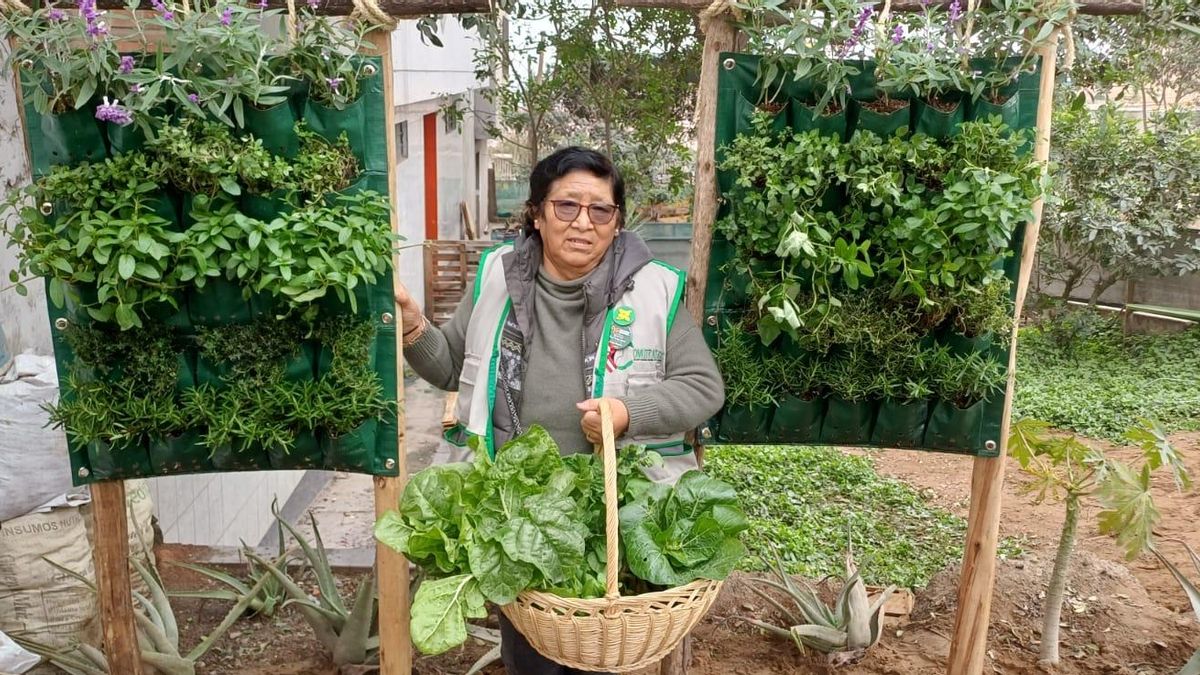 Celsa Pandal, presidenta del colectivo COMUTRAFRECC, una de las redes del sur de Lima que convirtieron terrenos abandonados en biohuertos.