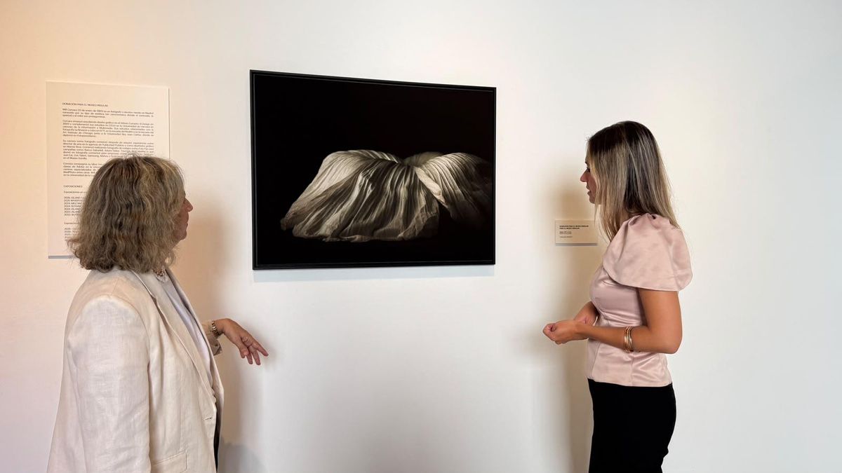 Obra del artista gráfico Will Corvara perteneciente a su serie Botanical.