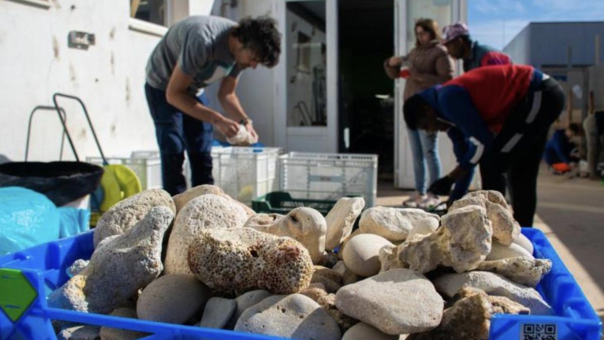 El centro de Geología de Menorca colabora con AENA y Mestral para devolver los "souvenirs" a sus playas de origen