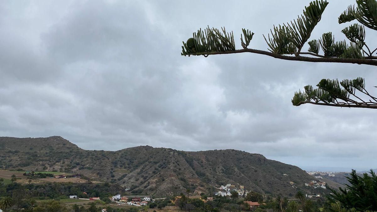 Tafira, Las Palmas de Gran Canaria