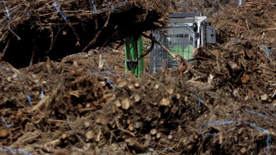 Contradicciones entre dos consejerías de la Junta para limpiar el monte, según Amigos de Monfragüe