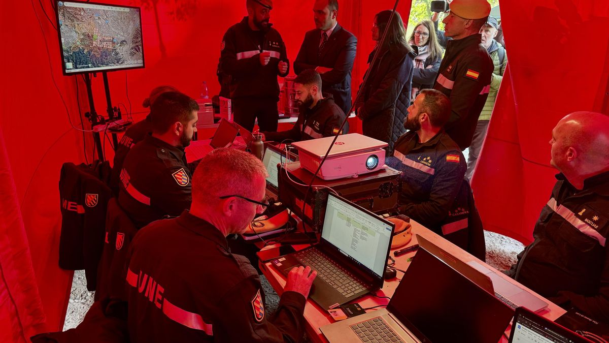 Recogidos 50 jabalíes muertos en la zona de Collserola (Barcelona) afectada por la peste porcina