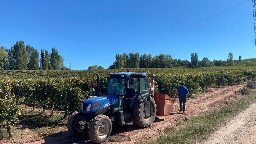 Se buscan personas para trabajar en la vendimia riojana