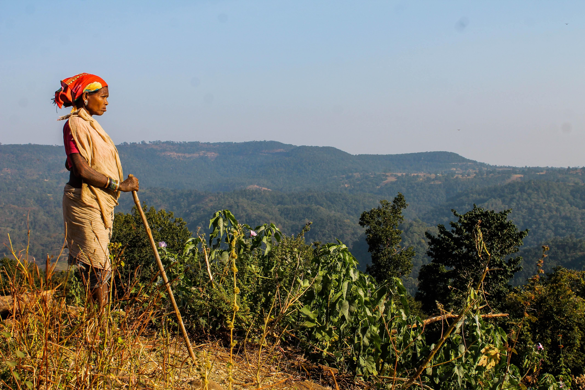 Los indígenas que cuidan de la naturaleza