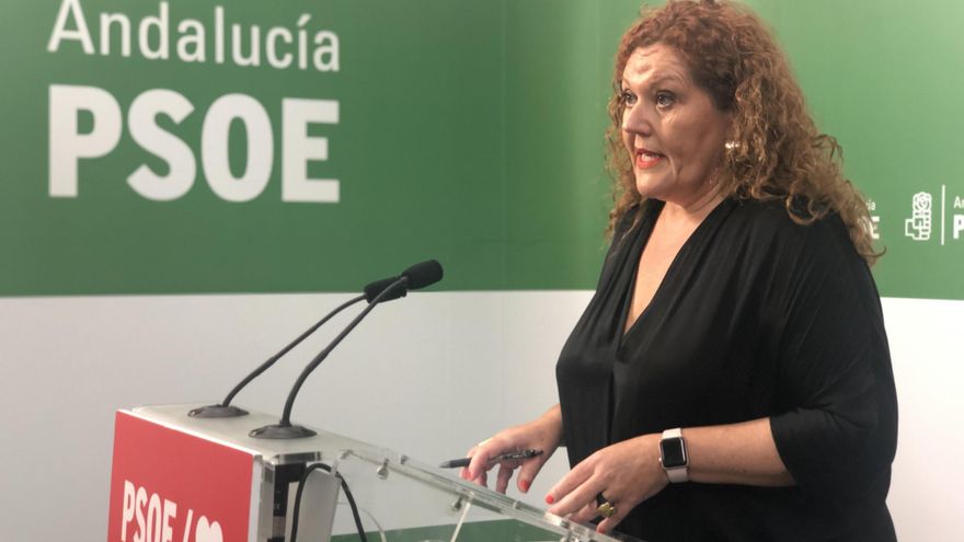 La secretaria de Organización del PSOE de Cádiz y parlamentaria andaluza, Araceli Maese