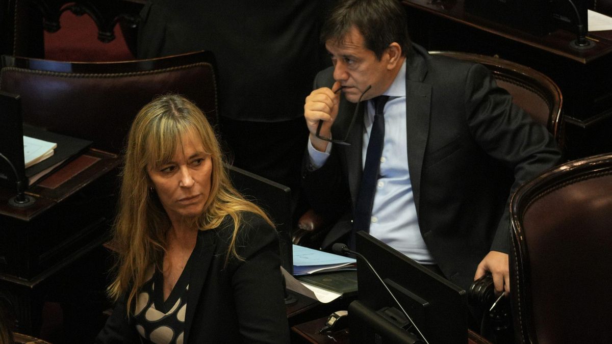 Juliana di Tullio y Mariano Recalde, impulsores de la sesión opositora