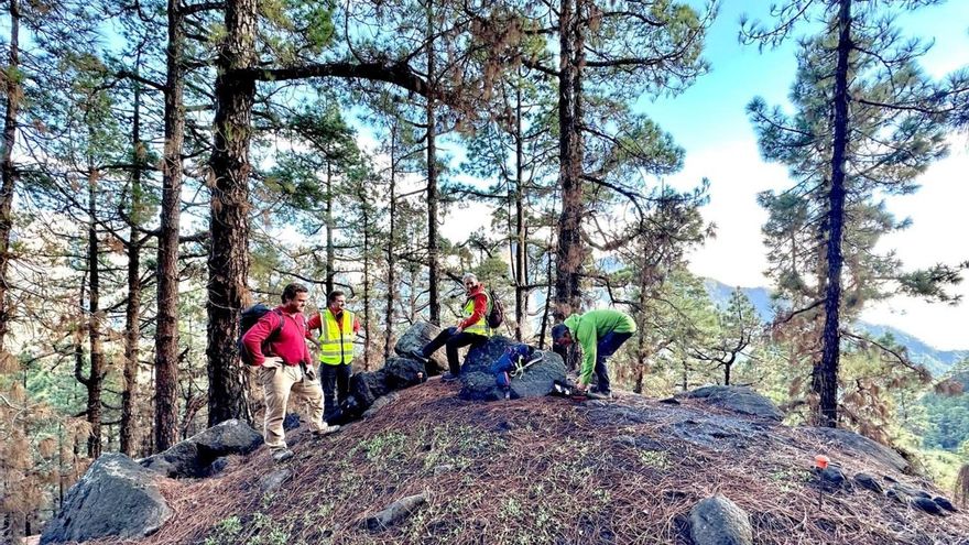 Investigadores del IRNAS-CSIC, IGME-CSIC, Universidad Pablo de Olavide y Universidad Miguel Hernández, junto con la Dirección del Parque Nacional de La Caldera de Taburiente, monitorean la recuperación de la diversidad microbiana y la calidad de la materia orgánica en suelos afectados por el devastador incendio forestal de julio de 2023.