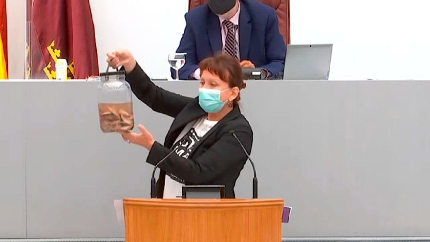 La diputada de Podemos, María Marín, muestra peces muertos durante una sesión del parlamento autonómico sobre el Mar Menor