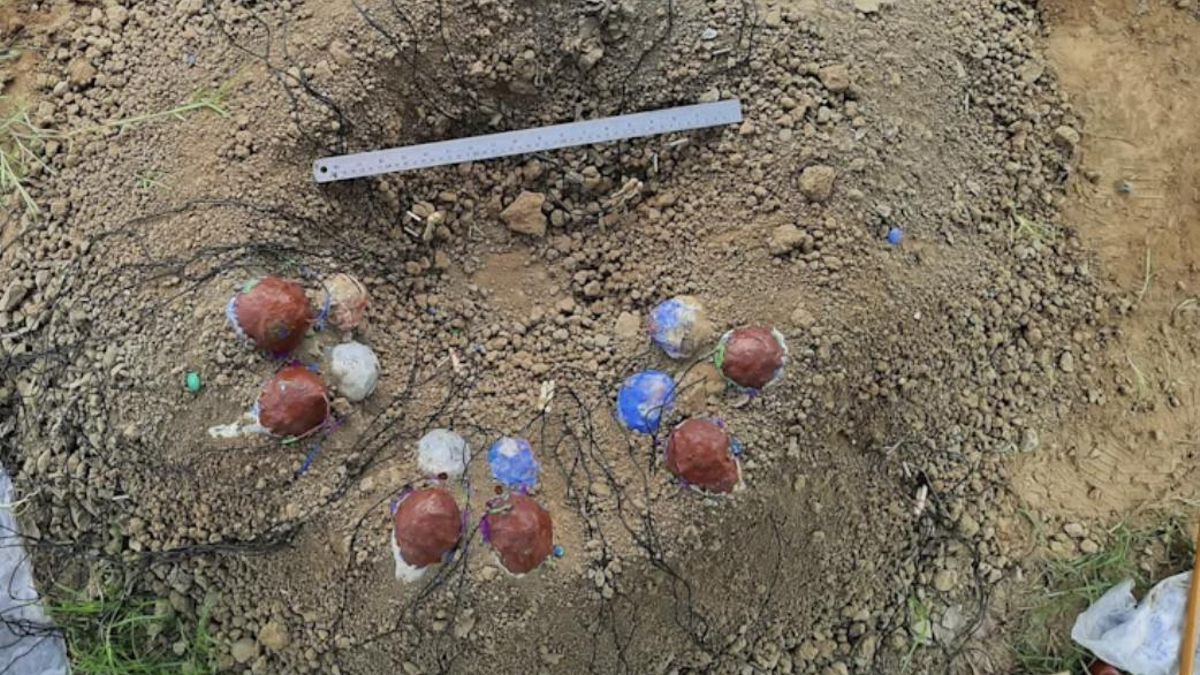 El equipo utilizaba materiales que imitaban tejidos y sensores internos para registrar cambios térmicos