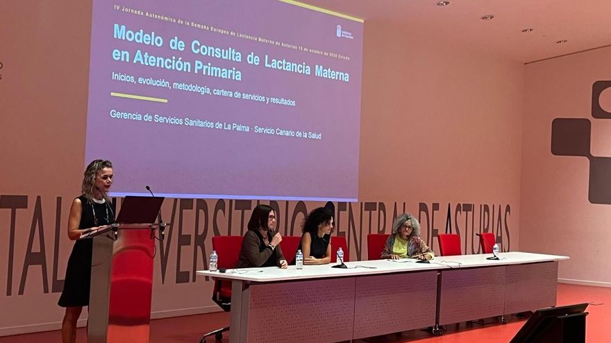 Presentación de la ponencia ‘Consultas especializadas de lactancia en el Sistema Nacional de Salud: modelos de apoyo a madres y familias’ en la IV Jornada Autonómica de la Semana Europea de la Lactancia Materna de Asturias.