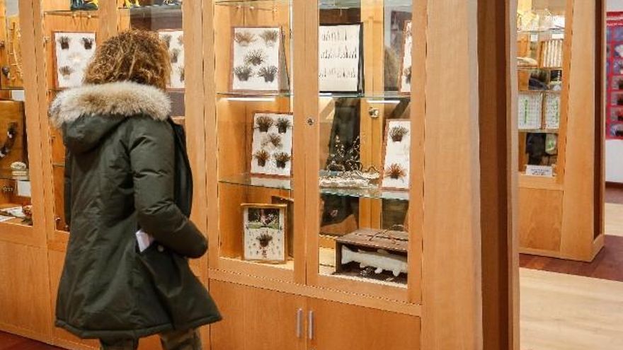 Moscas para la pesca en el Museo del Gallo de La Vecilla.