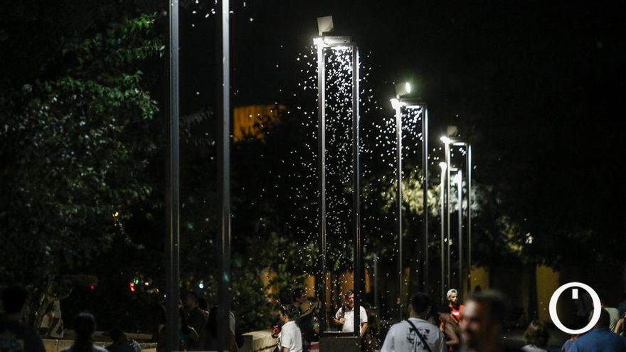 Una nube de insectos inunda la zona de la Ribera