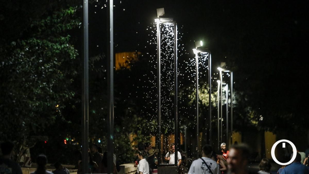 Una nube de insectos inunda la zona de la Ribera