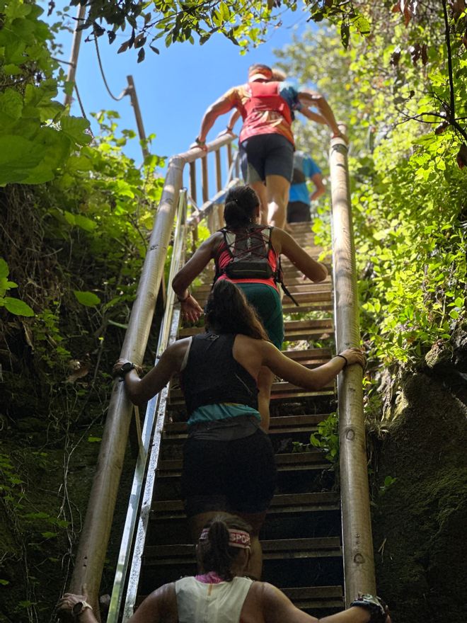 Senderistas por la famosa escalera del Barranco del Álamo