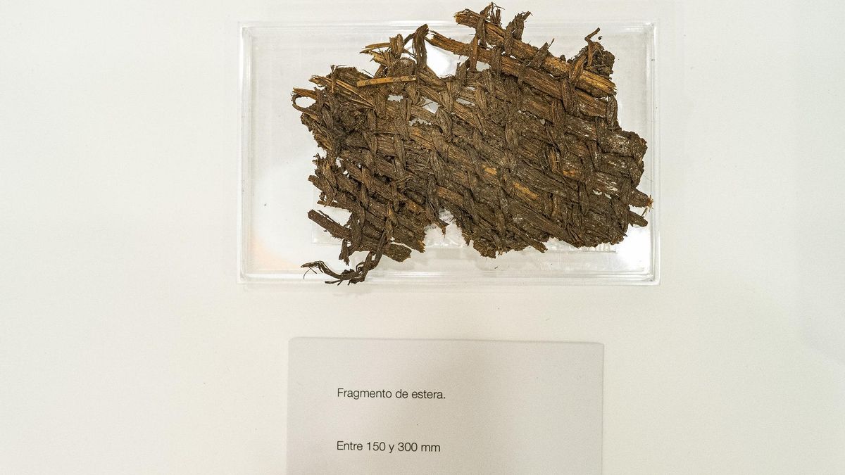 Nuevo descubrimiento arqueológico junto al Roque Bentayga: encontrada la primera prueba de una cosecha con utensilios de piedra