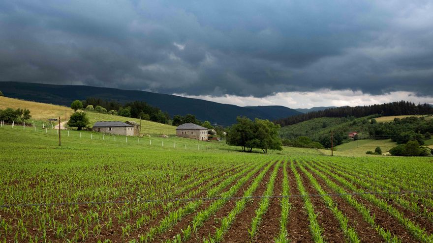 Asturias publica la nueva convocatoria del Leader con 11,4 millones para el medio rural