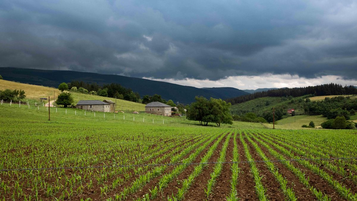 Una finca agrícola en Asturias.