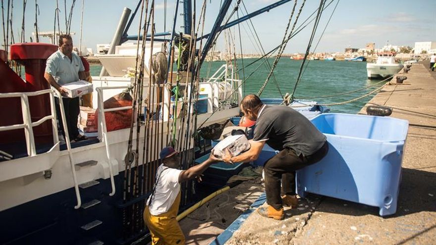 Euskadi pide a Canarias los "permisos necesarios" para que tres barcos pesquen cebo vivo en aguas isleñas tras las quejas de los atuneros herreños