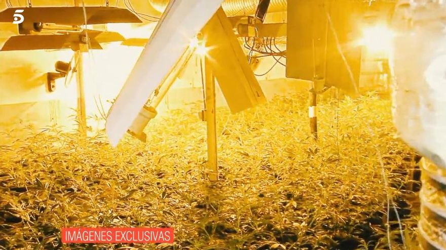 La operación antidroga en 'El programa de AR'