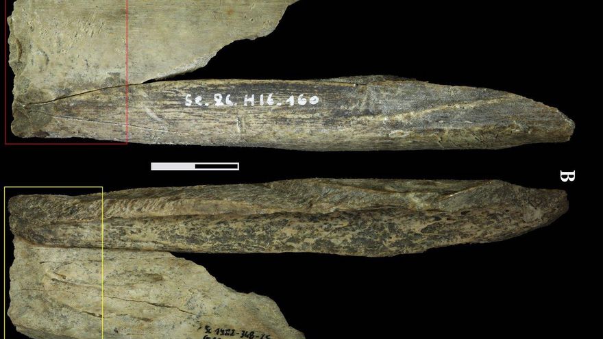 La ingeniosa ‘navaja suiza' con la que se manejaban los neandertales en la prehistoria