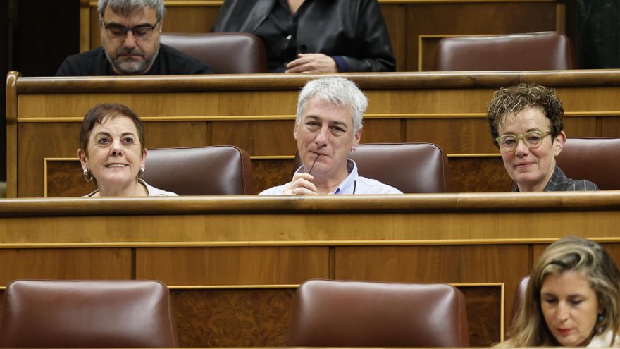 El portavoz adjunto de EH Bildu, Oskar Matute, durante la sesión de control al Ejecutivo que se celebra este miércoles en el Congreso.