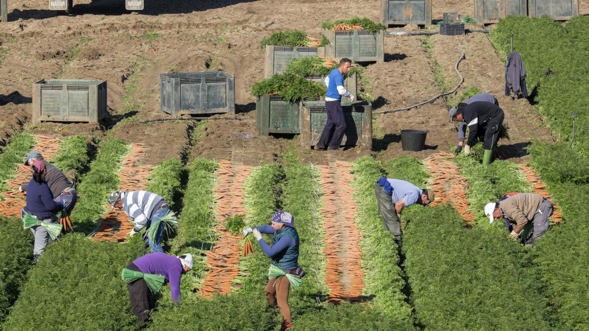 El paro sube ligeramente mientras la cifra de ocupados marca un récord histórico para un segundo trimestre en Andalucía