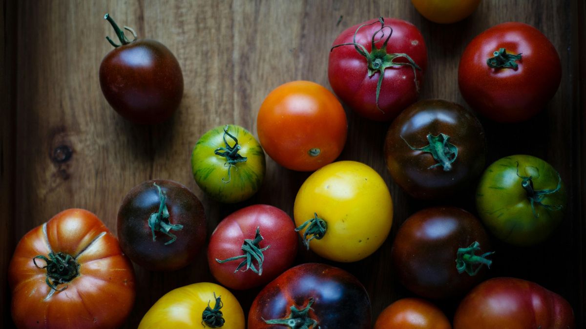 Tomates de diferentes variedades.