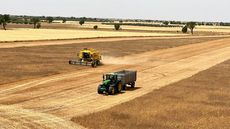 Cuenca cierra la campaña del cereal con una discreta cosecha
