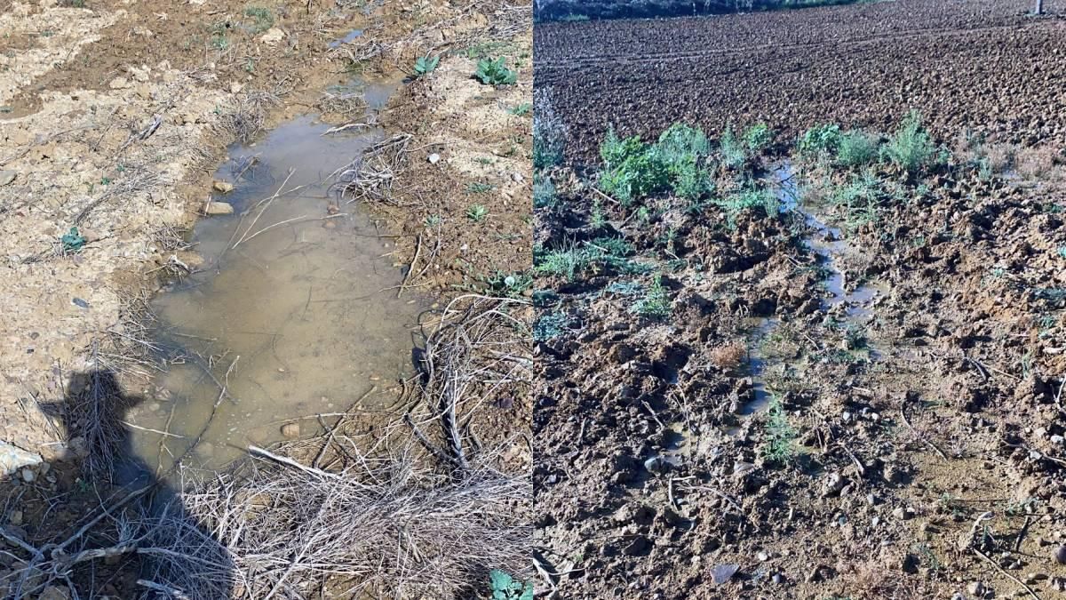 Investigan una fuga de agua en la zona Norte que está inundando una zona de cultivo