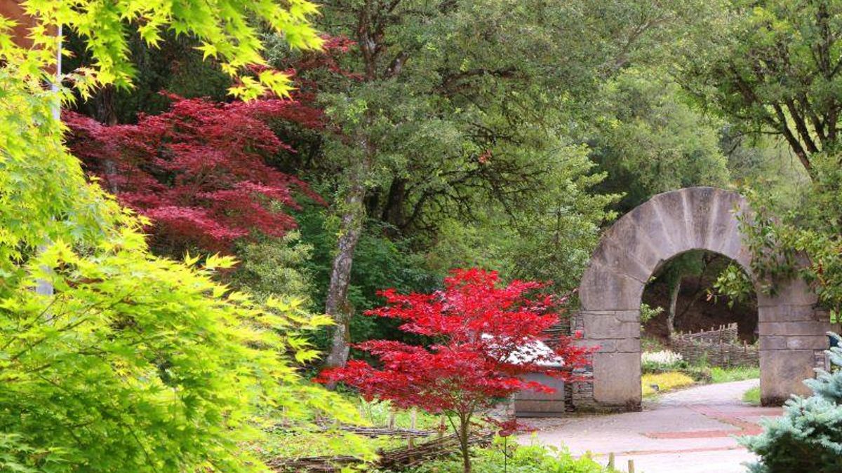 Además de albergar arces, encinas u orquídeas, fue el primer jardín botánico en ser reconocido como parque estelar starlight por la calidad de su cielo