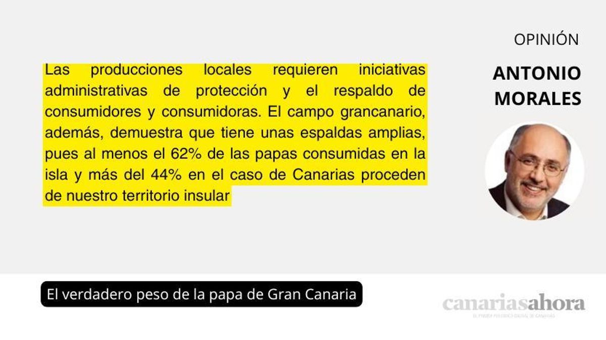 El verdadero peso de la papa de Gran Canaria