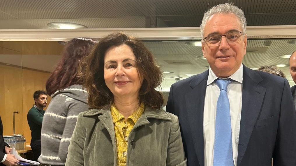 La consejera canaria de Hacienda dice que la financiación autonómica para el Archipiélago es "un misterio"