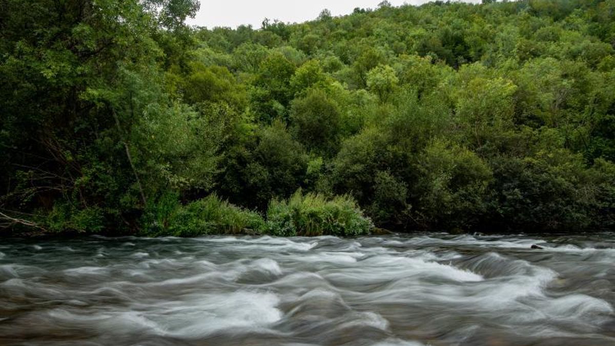 Más de 635.000 euros para la producción de trucha común en el Centro de Brieva de Cameros hasta 2028
