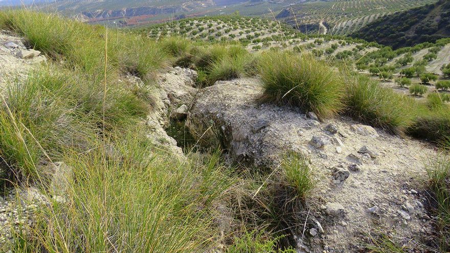 Trincheras Loma del Tinadillo