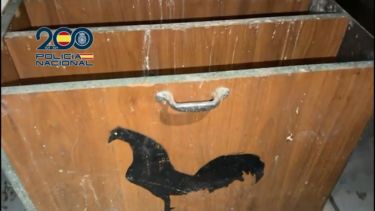 Operativo Policía Nacional Torrelavega