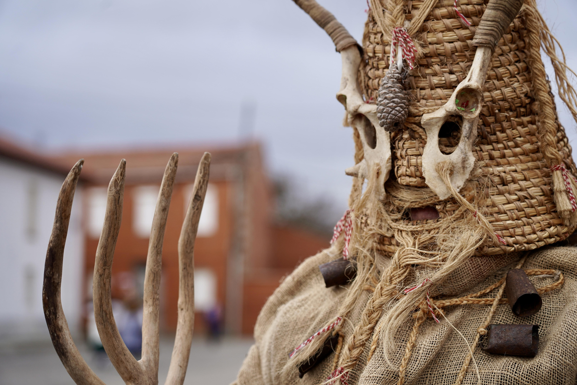Toros y guirrios del antruejo en Velilla de la Reina