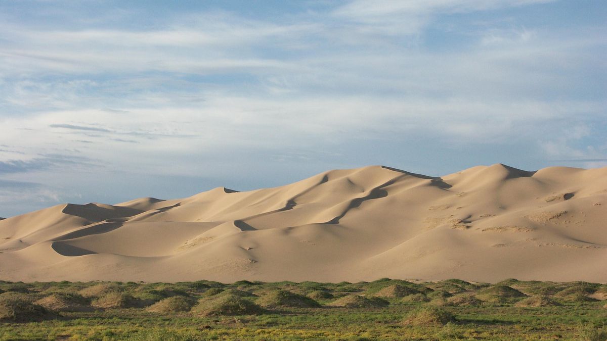 Las labores de mantenimiento, la elección de especies y la disponibilidad de recursos favorecen un crecimiento superior incluso entre masas con edades parecidas