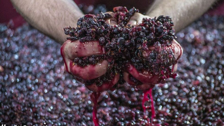 La Interprofesional del Vino cierra un año lleno de dificultades del que España ha conseguido salir airosa