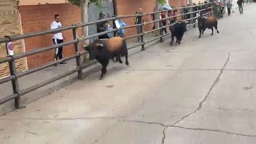 Muere una persona y tres resultan heridas, entre ellas una niña, tras escaparse un toro en un pueblo de Toledo