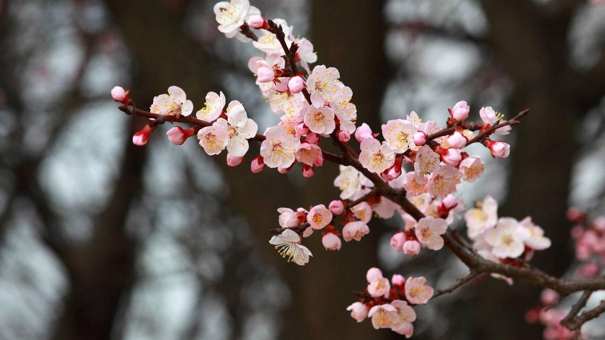 El tiempo hoy en León, 20 de marzo: nubes y claros durante el primer día de primavera