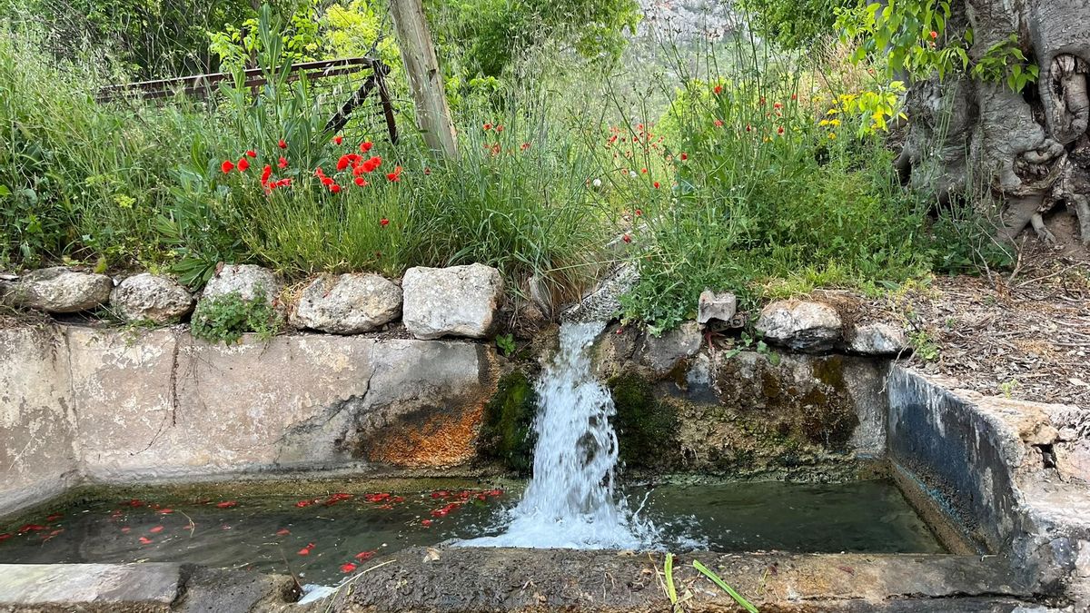 Fuentes y regadíos tradicionales en Villatoya: un paraíso de agua que brota incluso en tiempos de cambio climático