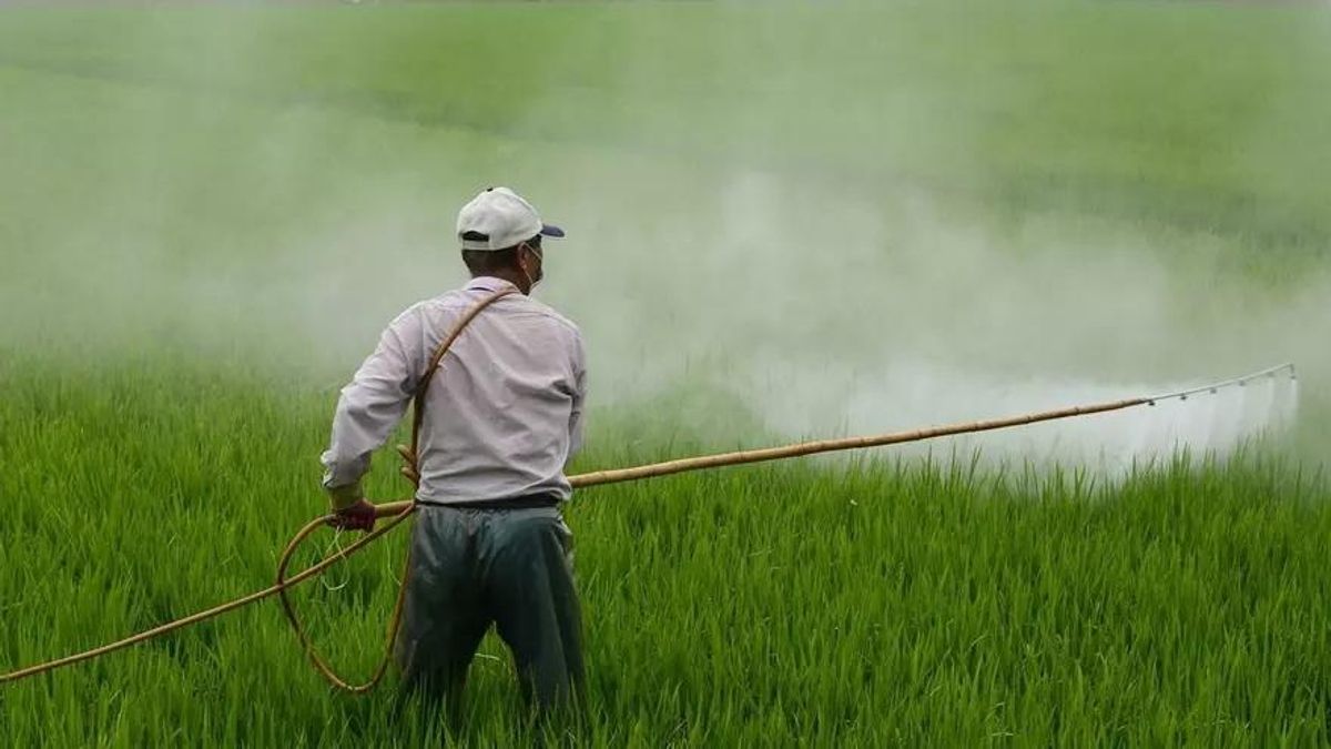 Forbes España reúne a los 50 profesionales que marcan el presente y el futuro del sector agroalimentario andaluz