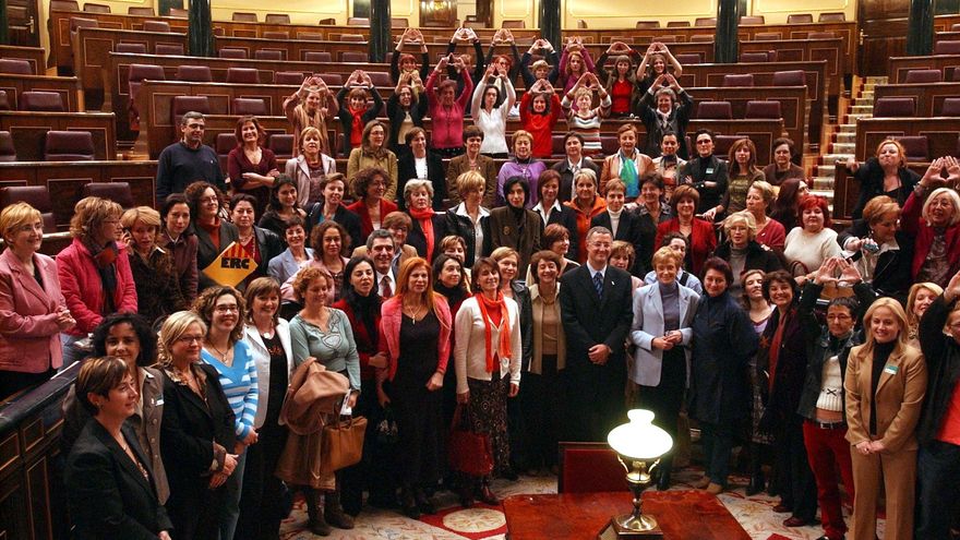 180 unconstitutionality appeals and a discussion about the name: the gender violence law turns two decades old